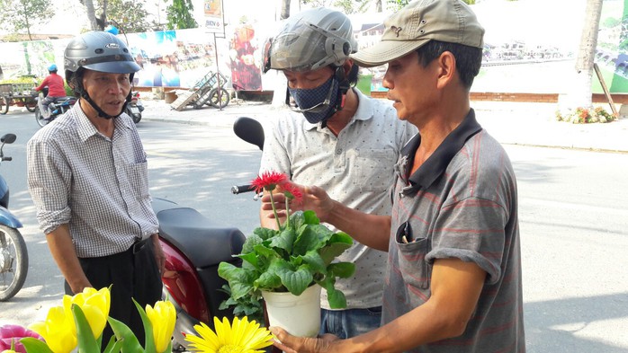 Hội An: Hoa Tết giảm giá gấp 5 lần, người dân đổ xô đi mua - Ảnh 4.