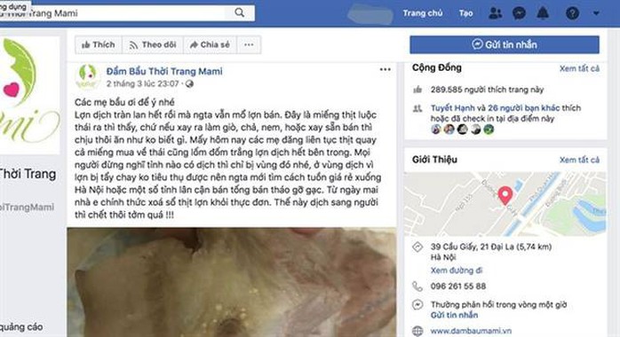 Chủ trang Facebook đăng tin sai sự thật về dịch tả lợn châu Phi có thể bị phạt 20 triệu đồng - Ảnh 1.