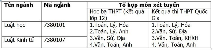 Học Luật - Cần gì và được gì? - Ảnh 4.