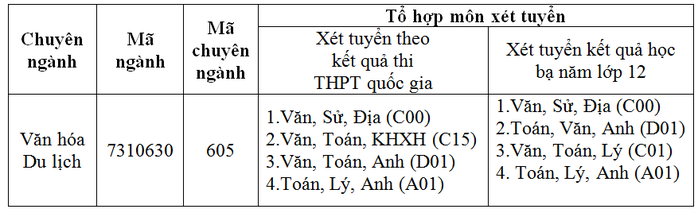 Giảng viên ngành Việt Nam học trăn trở nghiệp dạy học - Ảnh 4.