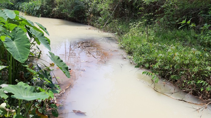 Nước thải có màu vàng đục tuôn ra kênh dài hơn 1 km, khiến người dân kinh hãi - Ảnh 2.