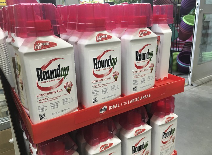 Monsanto lại lao đao vì thuốc diệt cỏ gây ung thư - Ảnh 2.