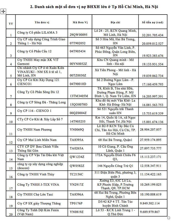 Điểm danh 20 doanh nghiệp nợ BHXH hàng chục tỉ đồng - Ảnh 2.