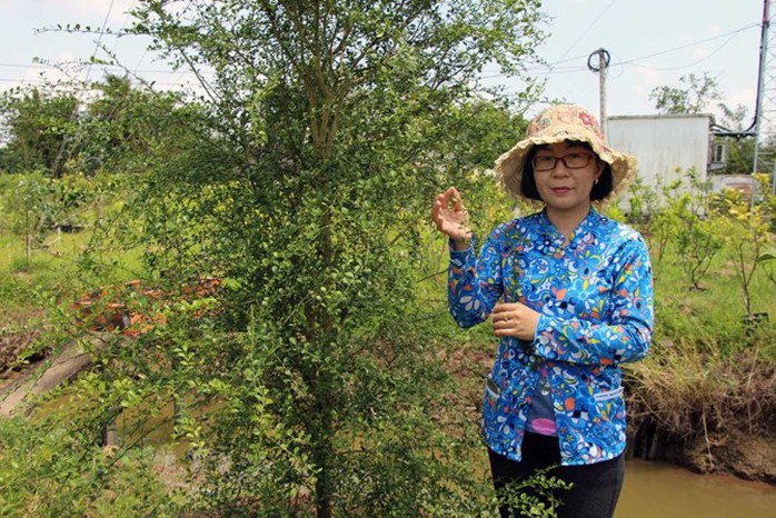 Miền Tây xuất hiện quả chanh tí hon chứa cả ngàn hạt trứng cá long lanh - Ảnh 5. Miền Tây xuất hiện quả chanh tí hon chứa cả ngàn hạt trứng cá long lanh - Ảnh 5.