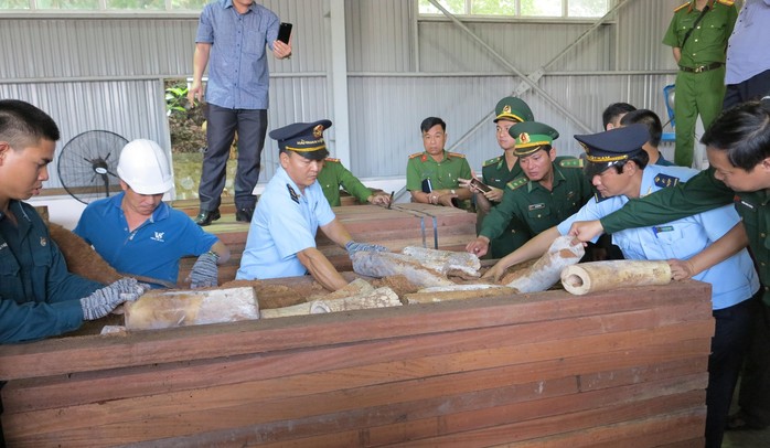 Đà Nẵng: Bắt giữ lô hàng nghi là ngà voi lên đến 9,1 tấn - Ảnh 2.