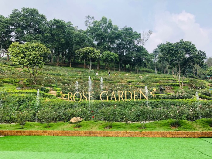 Sững sờ trước vườn hồng 3,5 ha tuyệt đẹp vừa nhận kỷ lục Việt Nam - Ảnh 16.