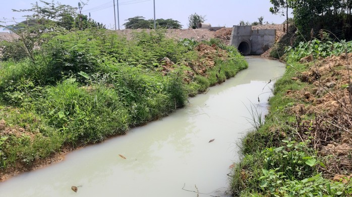 Vụ nước thải tuôn ra kênh ở Đà Nẵng: Đề xuất xử lý 2 công ty xả thải - Ảnh 1.