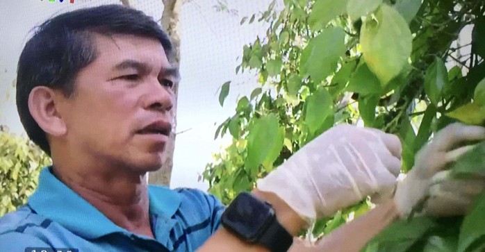 Huỳnh Mau: Lão nông chưa quên bóng đá - Ảnh 1.