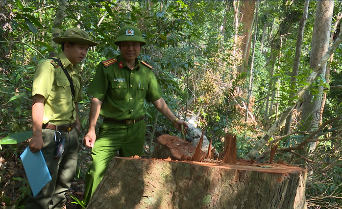 Giám đốc Công an tỉnh Đắk Lắk băng rừng bắt gỗ lậu - Ảnh 10.