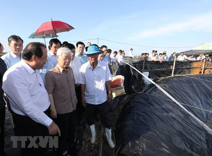 Hình ảnh Tổng Bí thư, Chủ tịch nước Nguyễn Phú Trọng làm việc ở Kiên Giang - Ảnh 1.