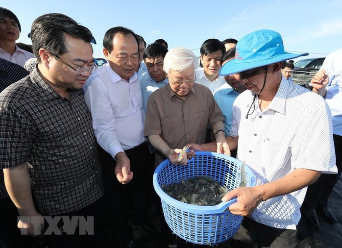 Hình ảnh Tổng Bí thư, Chủ tịch nước Nguyễn Phú Trọng làm việc ở Kiên Giang - Ảnh 2.