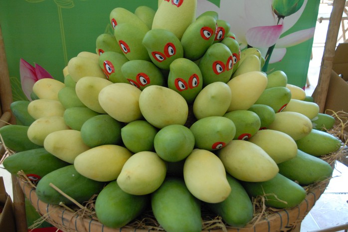 Cận cảnh lô xoài đầu tiên của Việt Nam xuất đi Mỹ - Ảnh 5. Cận cảnh lô xoài đầu tiên của Việt tỷ lệ bóng đá kèo nhà cái xuất đi Mỹ - Ảnh 5.