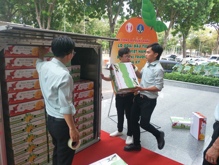 Cận cảnh lô xoài đầu tiên của Việt Nam xuất đi Mỹ - Ảnh 1. Cận cảnh lô xoài đầu tiên của Việt tỷ lệ bóng đá kèo nhà cái xuất đi Mỹ - Ảnh 1.