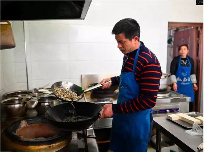 Mục sở thị trang trại nuôi hàng triệu con gián làm mồi nhậu - Ảnh 2. Mục sở thị trang trại nuôi hàng triệu con gián làm mồi nhậu - Ảnh 2.