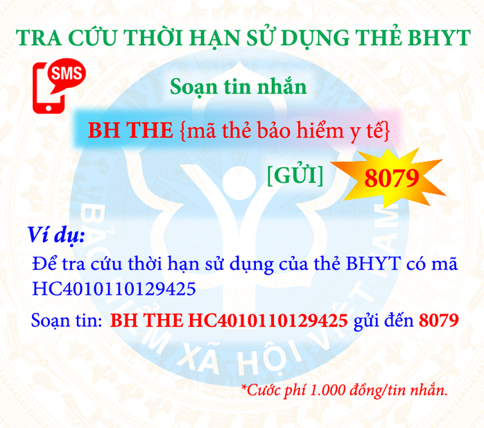 Tra cứu đóng, hưởng BHXH, BHYT bằng tin nhắn điện thoại - Ảnh 4.