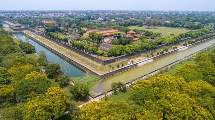 Những loài hoa khoe sắc trong nắng hạ ở Huế - Ảnh 5. Những loài hoa khoe sắc trong nắng hạ ở Huế - Ảnh 5.