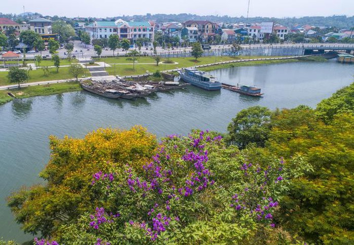 Những loài hoa khoe sắc trong nắng hạ ở Huế - Ảnh 6. Những loài hoa khoe sắc trong nắng hạ ở Huế - Ảnh 6.