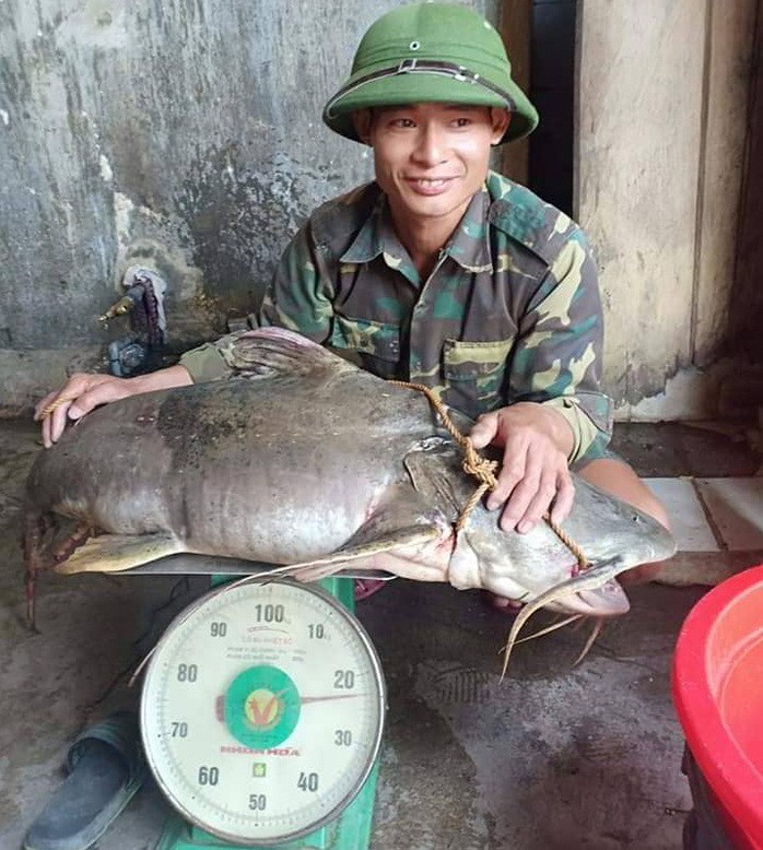 Ngày lễ, thả câu bắt được cá ghé “khủng” 22 kg, dài hơn 1 m - Ảnh 1.