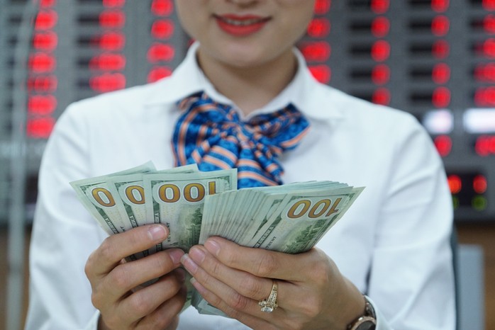 Rủi ro tỉ giá USD/VNĐ tăng, cần linh hoạt để ứng phó - Ảnh 1.