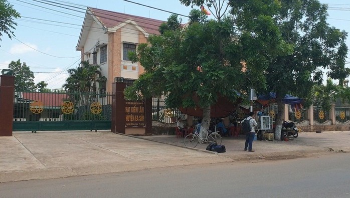 Để mất rừng, kiểm lâm lại đi giữ xe chở le khó hiểu - Ảnh 3. Để mất rừng, kiểm lâm lại đi giữ xe chở le khó hiểu - Ảnh 3.