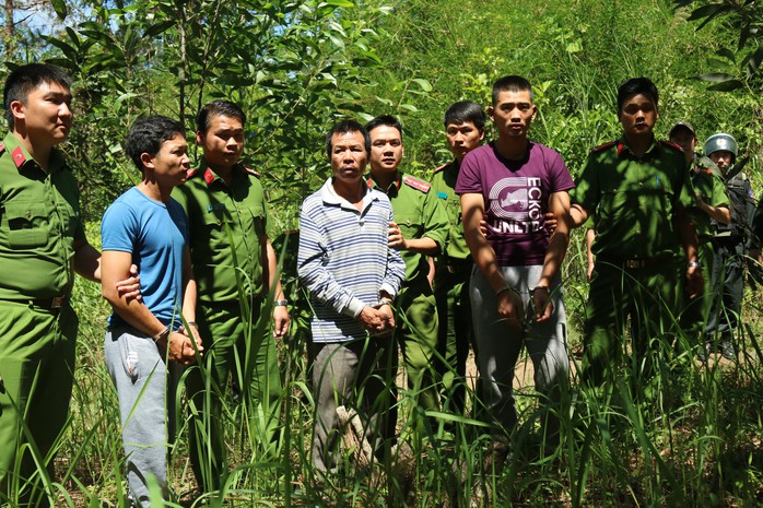 Khoan lỗ 20 cm rồi đổ thuốc diệt cỏ hạ độc 3.500 cây thông ở Lâm Đồng - Ảnh 1.