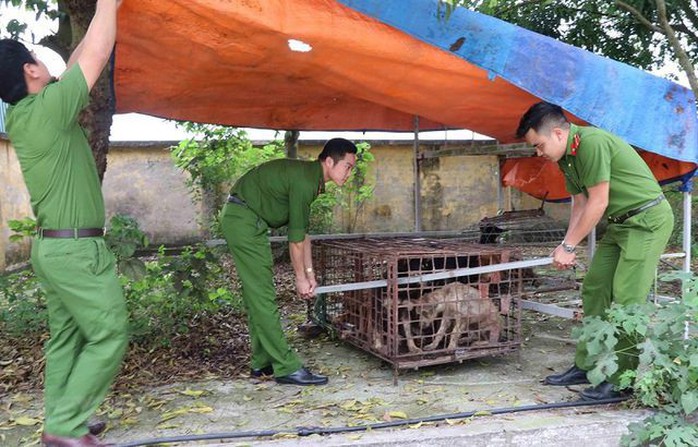 Vụ bé trai 7 tuổi bị cả đàn chó cắn tử vong: Quyết định khởi tố vụ án - Ảnh 1.