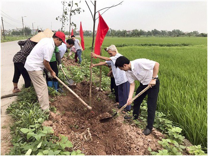 Hà Nội: Tạo mảng xanh cho vùng nông thôn mới - Ảnh 1.