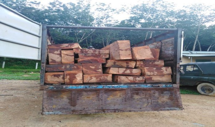 Đục khoét số khung, số máy xe tải để chở gỗ lậu - Ảnh 1.