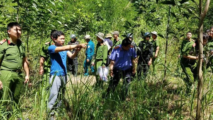 Bắt giữ Kế hấp, kẻ cầm đầu vụ hạ độc rừng thông 3.500 cây ở Lâm Đồng - Ảnh 2.