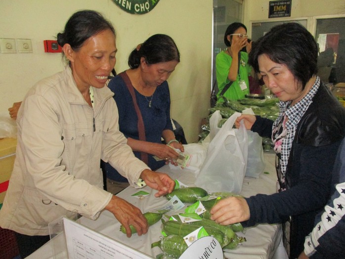 Trồng rau hữu cơ quy mô nhỏ, siêu nhỏ - Ảnh 1.