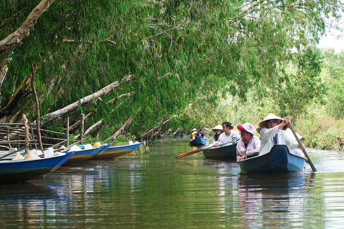 Sen nở rộ giữa rừng tràm lớn nhất An Giang - Ảnh 5.