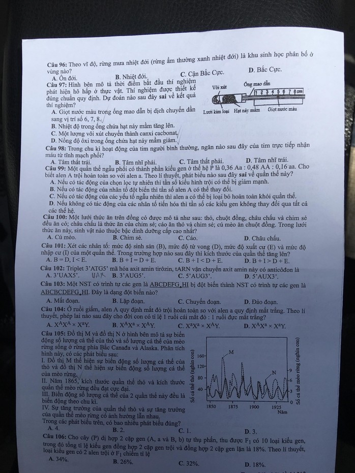 Thi THPT quốc gia 2019: Đề tổ hợp tự nhiên không quá khó - Ảnh 6.
