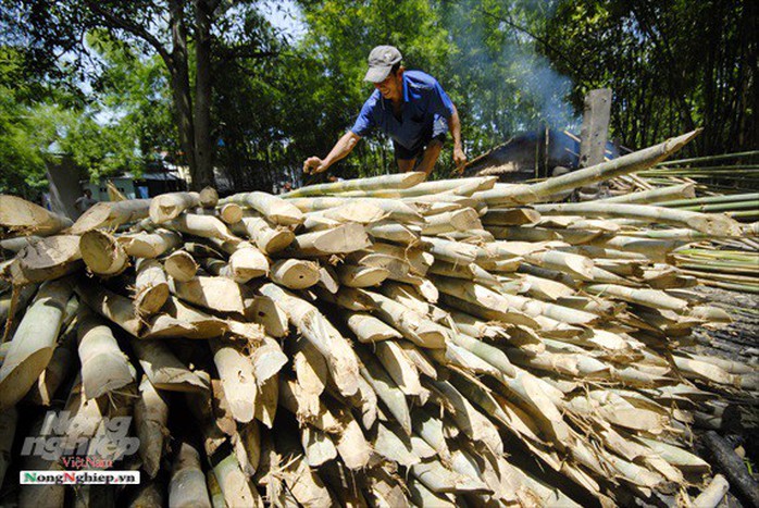 Nghề độc ở Bảy Núi - Ảnh 5.