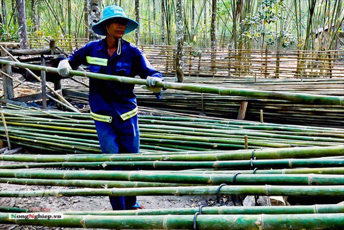 Nghề độc ở Bảy Núi - Ảnh 8.