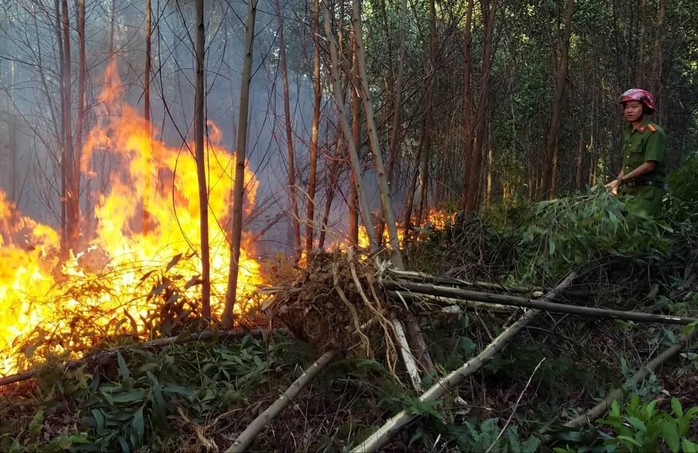 Rừng khắp nơi ở Thừa Thiên Huế đang cháy ngùn ngụt - Ảnh 1.