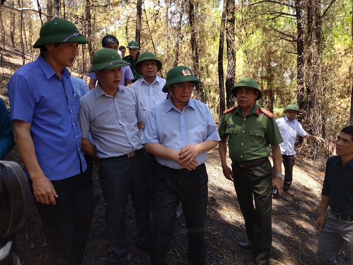 Trưởng Ban Tổ chức Trung ương Phạm Minh Chính thị sát vụ cháy rừng kinh hoàng ở Hà Tĩnh - Ảnh 1.