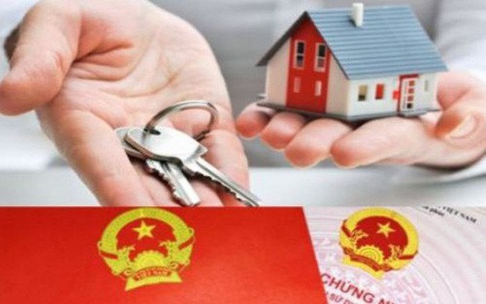 Núp bóng người Việt, người Trung Quốc thâu tóm “đất đẹp” tại Việt Nam - Ảnh 1.
