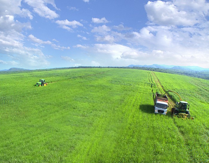 Tập đoàn TH: Doanh nghiệp tư nhân duy nhất được vinh danh tại Vinh quang Việt Nam 2019 - Ảnh 3. Tập đoàn TH: Doanh nghiệp tư nhân duy nhất được vinh danh tại Vinh quang Việt Nam 2019 - Ảnh 3.