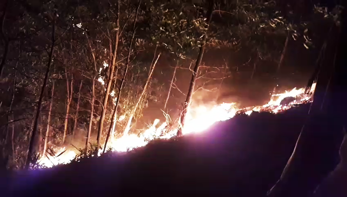 Đang cháy rừng ở Quảng Nam - Ảnh 2.