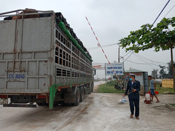 Tìm thực phẩm bù đắp thịt heo - Ảnh 1.