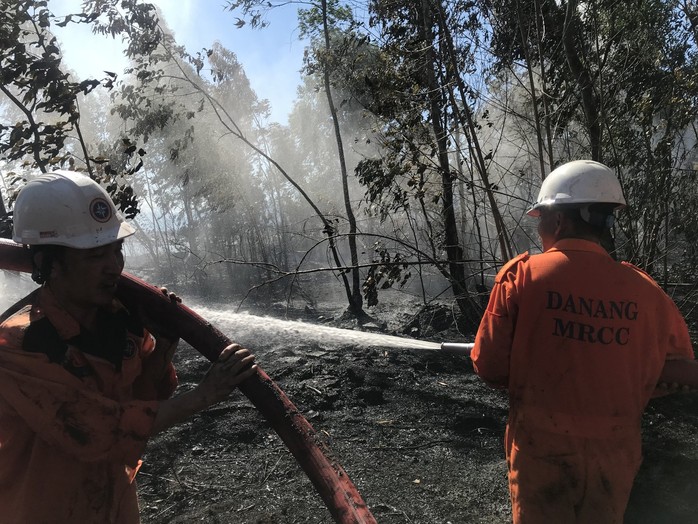 Cháy lớn trên bán đảo Sơn Trà, hơn 8 hecta rừng bị thiêu rụi - Ảnh 2.