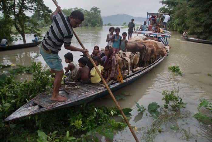 Lũ lụt khủng ở Nam Á, 180 người chết, hàng triệu người di dời - Ảnh 3.