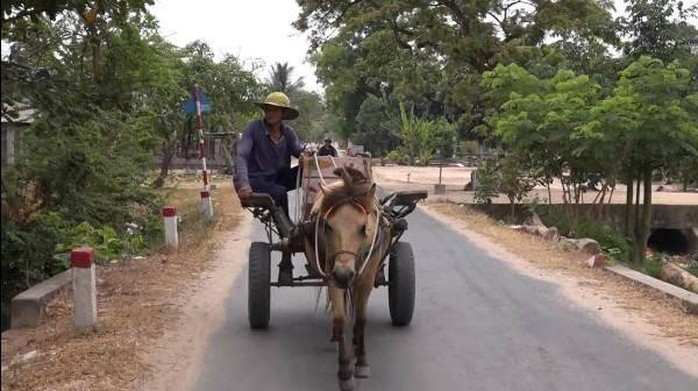 Những chuyến xe ngựa về Bảy Núi - Ảnh 2.