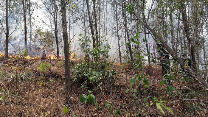 Huy động hơn 1.000 người tham gia dập lửa, cứu rừng thông đặc dụng ở TP Huế - Ảnh 2.
