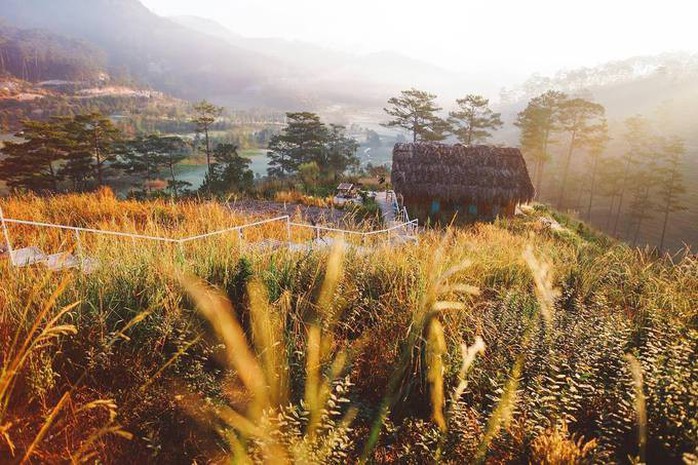 Những homestay như tổ chim giữa rừng Đà Lạt - Ảnh 1. Những homestay như tổ chim giữa rừng Đà Lạt - Ảnh 1.