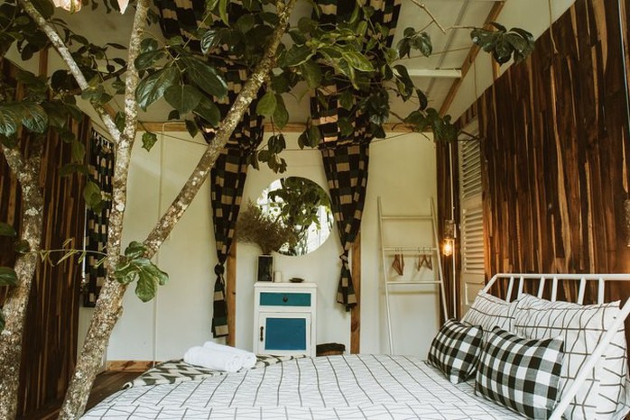Những homestay như tổ chim giữa rừng Đà Lạt - Ảnh 4. Những homestay như tổ chim giữa rừng Đà Lạt - Ảnh 4.