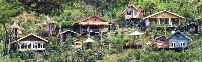 Những homestay như tổ chim giữa rừng Đà Lạt - Ảnh 5. Những homestay như tổ chim giữa rừng Đà Lạt - Ảnh 5.