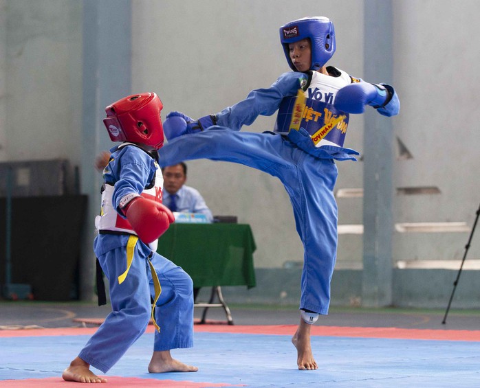 Vovinam Ai Cập học tập mô hình tổ chức giải đấu của Việt Nam - Ảnh 2.