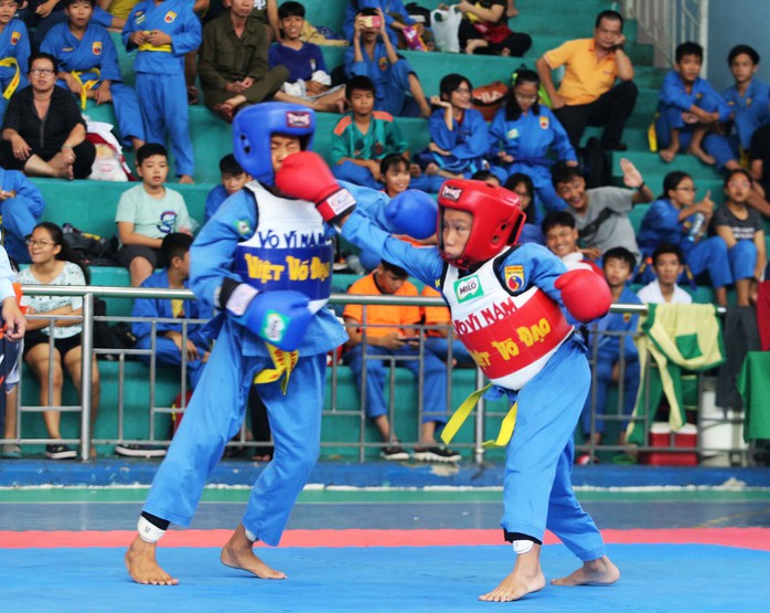 Vovinam Ai Cập học tập mô hình tổ chức giải đấu của Việt Nam - Ảnh 1.