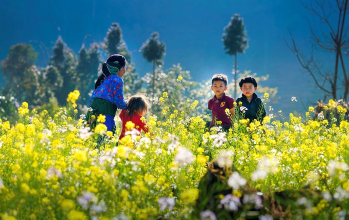 Phong cảnh, con người khắp 3 miền đất Việt đẹp sững sờ qua ảnh - Ảnh 1.